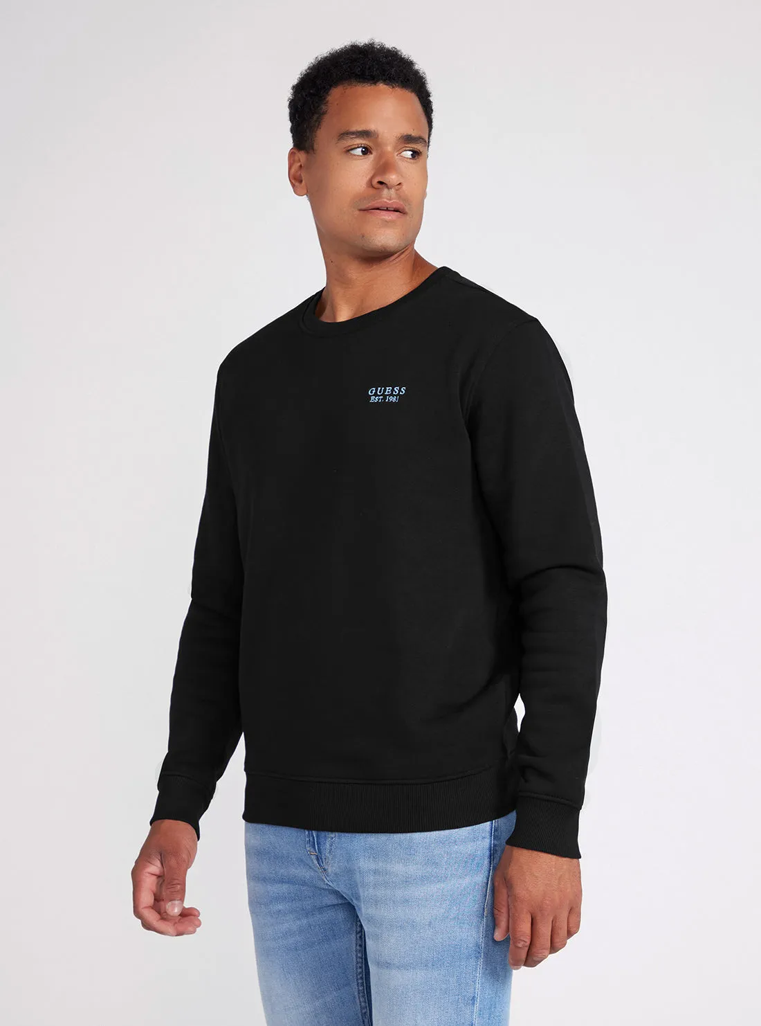 Black Back Geo-Metric Logo Print Jumper Guess