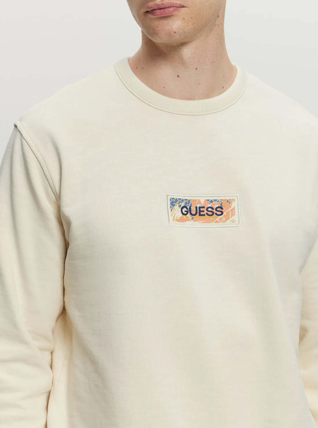 Eco Beige Box Back Jumper Guess
