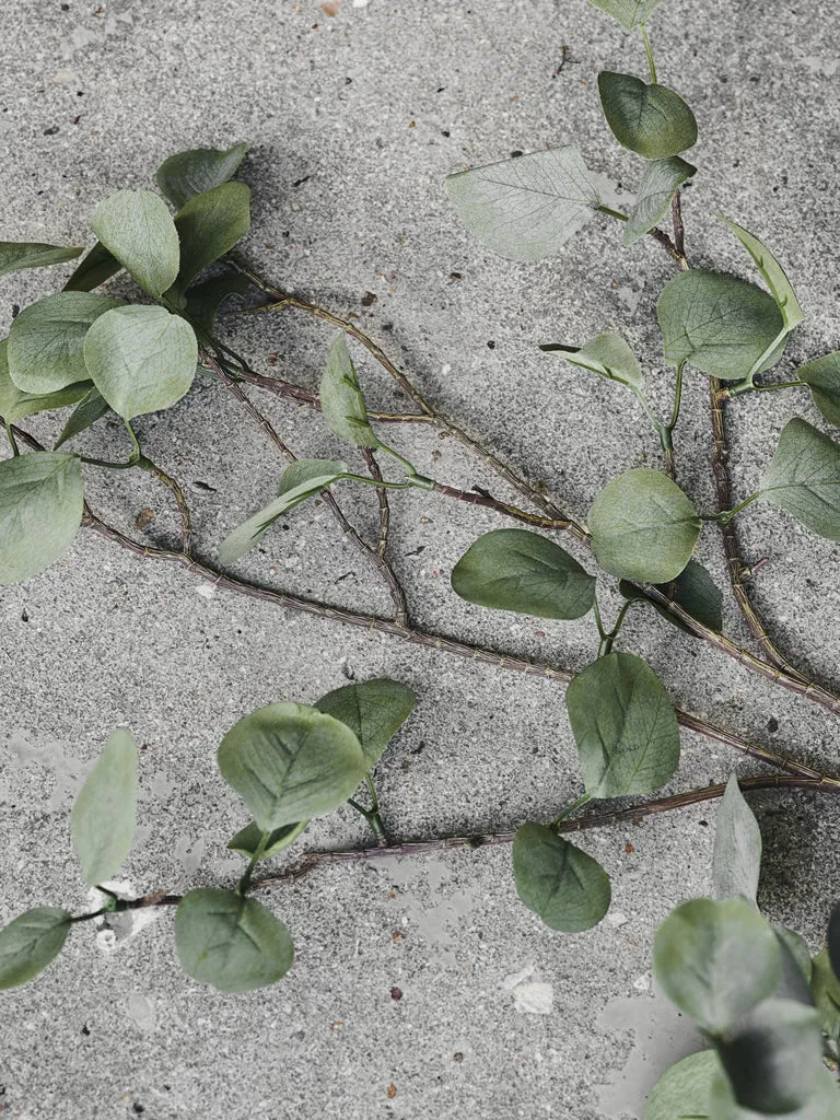 House Doctor Eucalyptus Branch