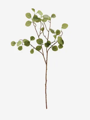 House Doctor Eucalyptus Branch