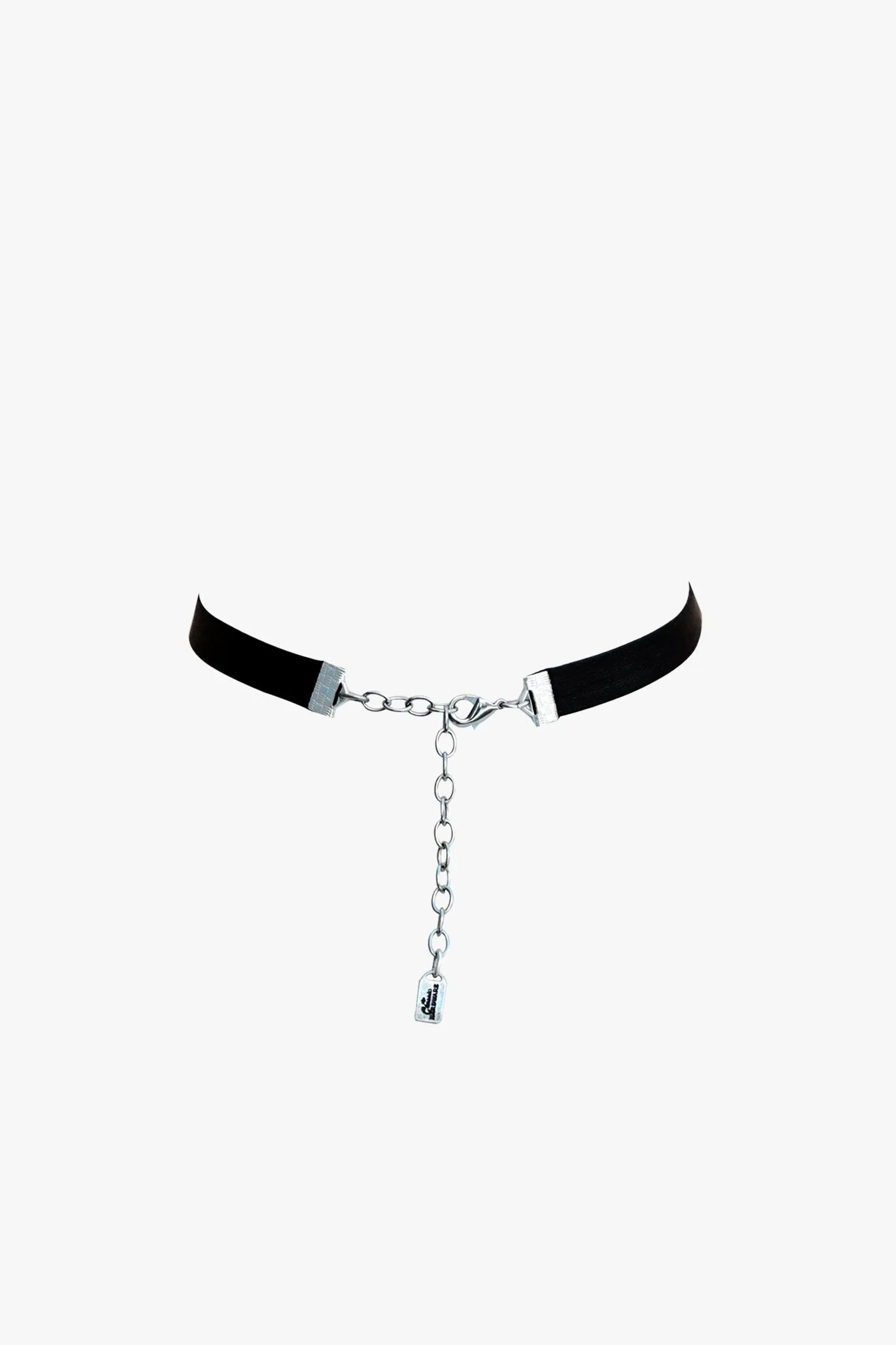 Retrolite Rose Velvet Choker Annasui